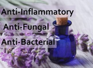 15 Fantastic Different Uses For Lavender Essential Oil!