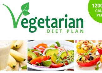 Suggested Vegetarian Weight Loss Meal Plan