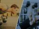 Should You Work Out Twice a Day? Should You Work Out Twice a Day?